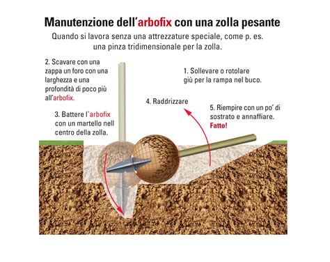 sistema di ancoraggio tudor per alberi montaggio|arboa tree safety: sicurezza per alberi .